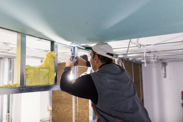 Best Commercial Insulation in Laurel Hill, NC