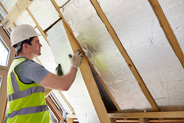 Best Eco-Friendly Insulation in Laurel Hill, NC